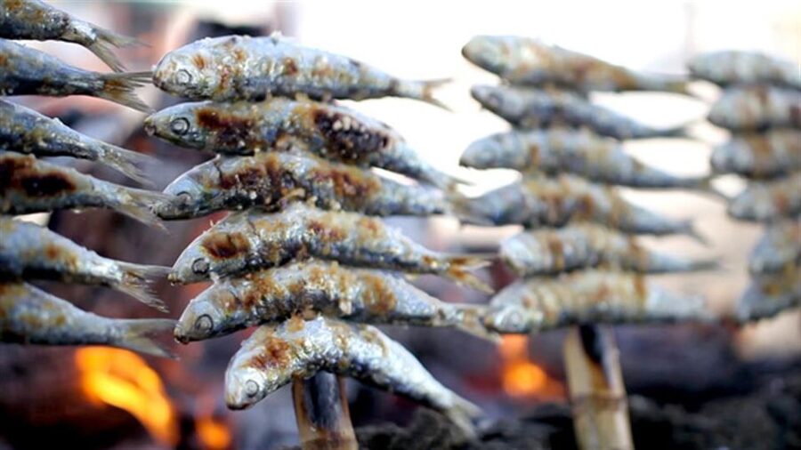 Malaga: Paella and Tapas Tour with The Best Flamenco Show - Who will enjoy this Málaga evening