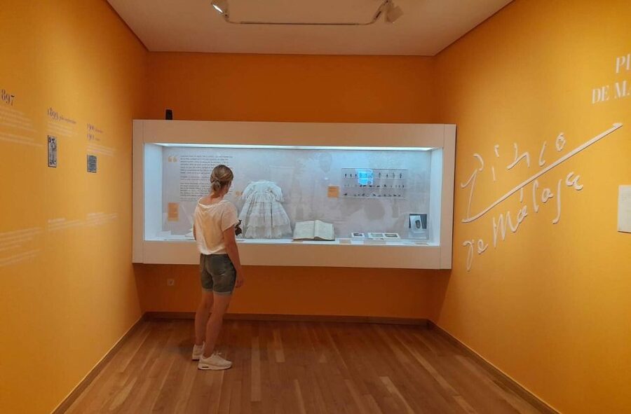 Málaga: Picasso Birthplace Museum Ticket & City Audio Guide - Is $11 a fair price?