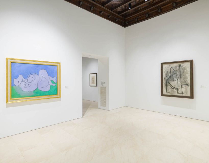 Malaga: Picasso Museum Guided Tour with Skip-the-Line Ticket - Is $41 a fair price?