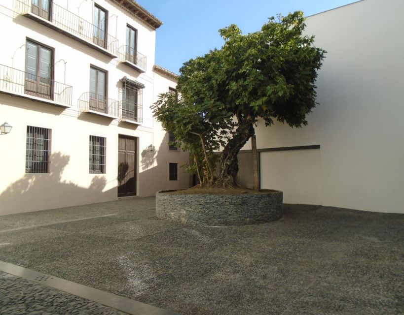 Malaga: Picasso Museum Guided Tour with Skip-the-Line Ticket - Practical advice for a better visit