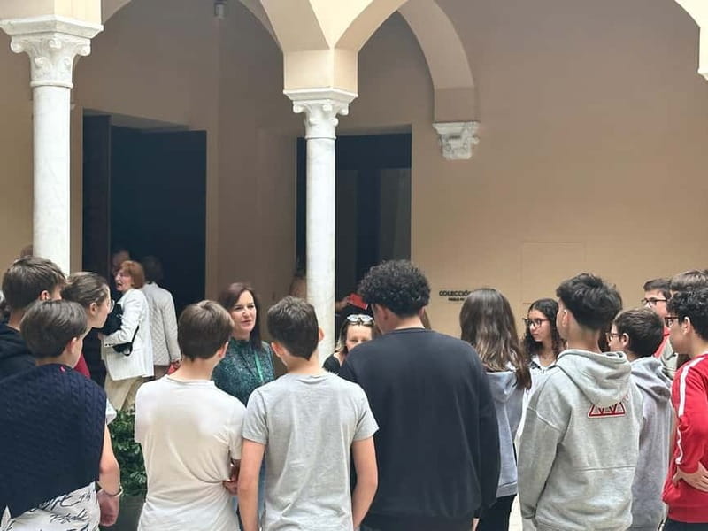Malaga: Picasso Museum Tour Expert Art Guide, entrance fee included - Why a Picasso guide changes the museum visit