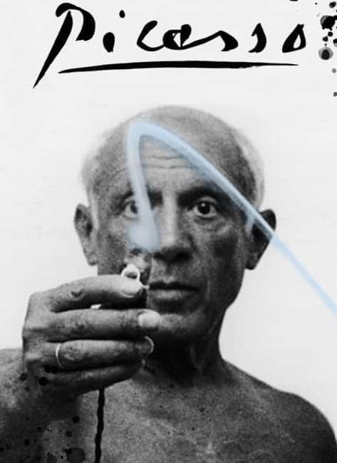 Malaga: Picasso Museum Tour Expert Art Guide, entrance fee included - Language, access, and practical limits