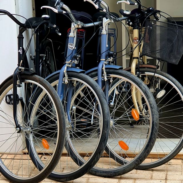 Malaga: Private Bike Rental - What the positive feedback tells you