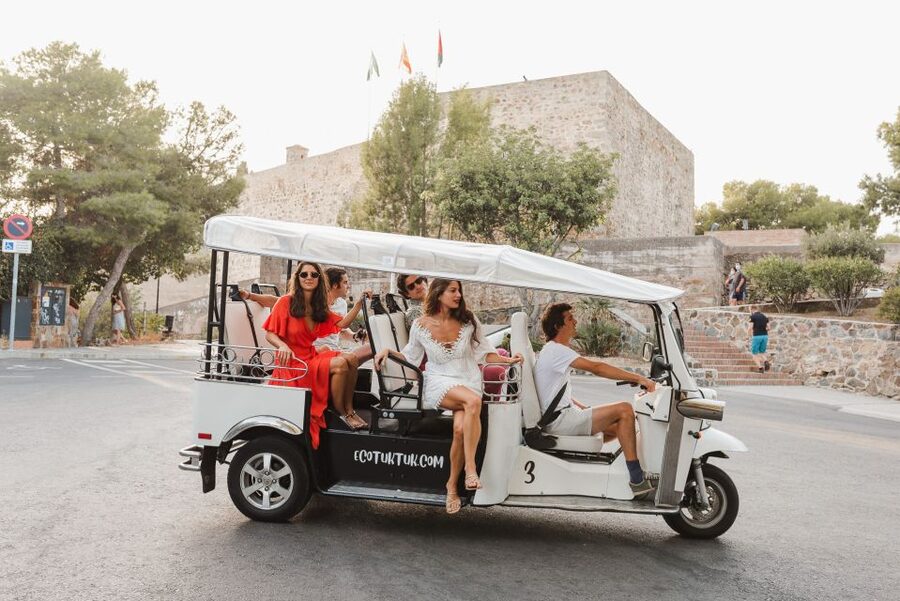 Malaga: Private City Tour by Eco Tuk Tuk - La Farola and the open waterfront