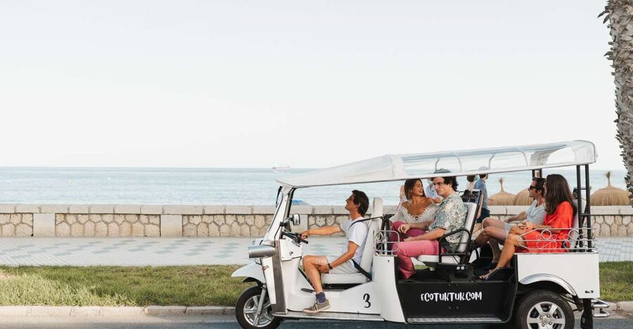 Malaga: Private City Tour by Eco Tuk Tuk - Starting near Pedro Luis Alonso Gardens