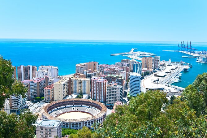 Malaga : Private Custom Walking Tour with A Guide (Private Tour) - Plaza de la Merced and the city’s market past