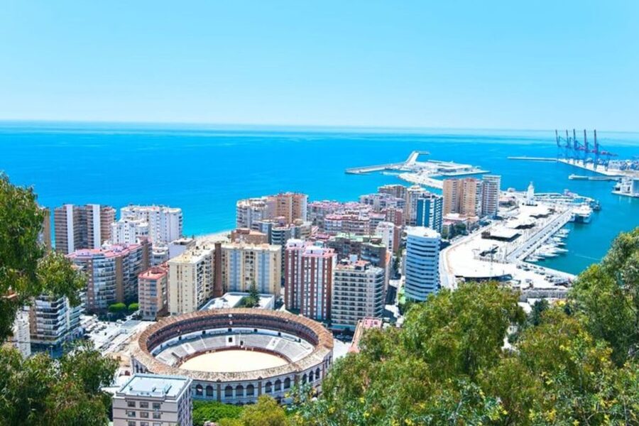 Malaga: Private custom Walking tour with a local guide - Key points to know before booking