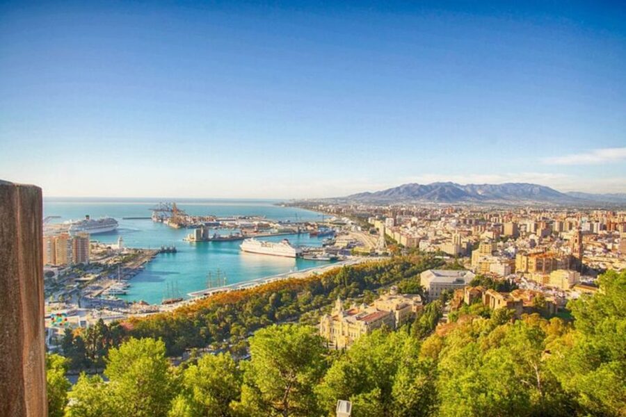 Malaga: Private custom Walking tour with a local guide - Starting in Malaga’s center