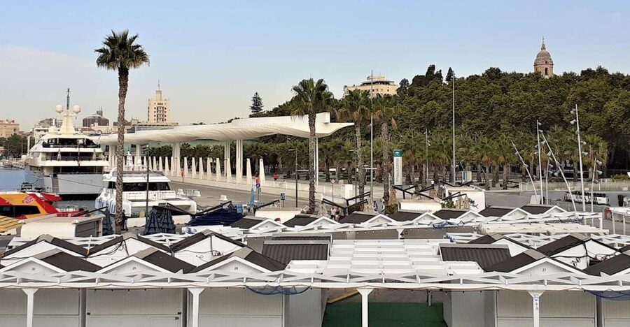 Malaga: Private walking tour - Malaga Cathedral and its three architectural voices
