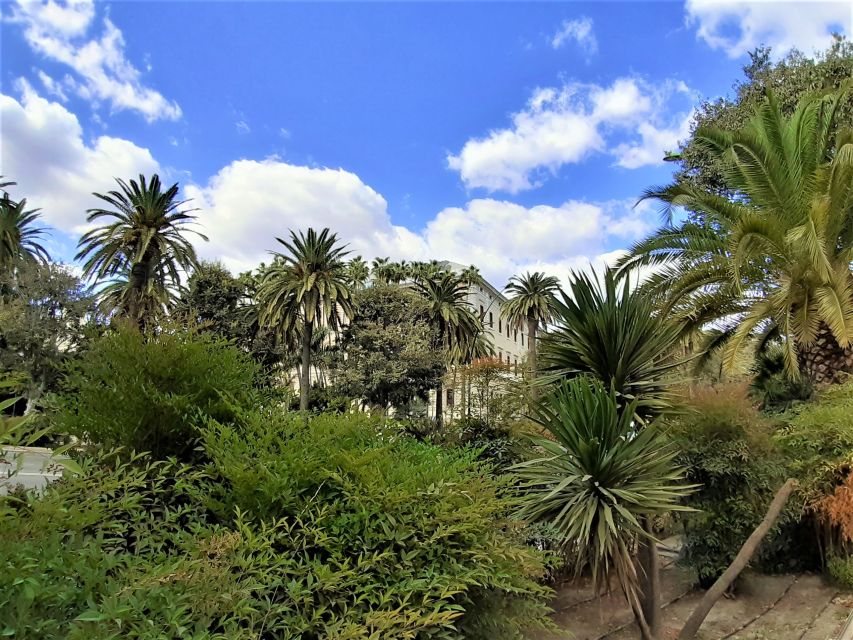 Malaga: Private walking tour - Following Picasso through his hometown