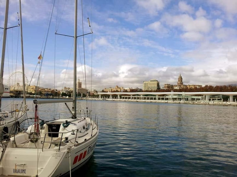 Malaga: Private Walking Tour with Official Guide - Follow Picasso through his hometown