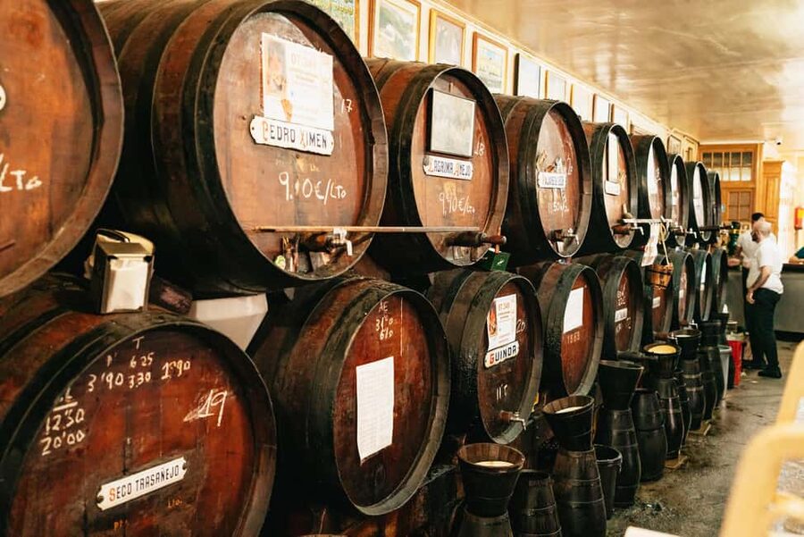Malaga's tradition and tapas tour with Official Guide - Who should book this tapas tour?