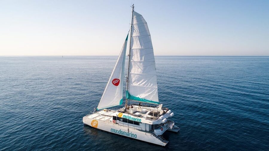 Malaga: Sailing Catamaran with Swimming and Paella Lunch - Should you book the Malaga sailing catamaran?