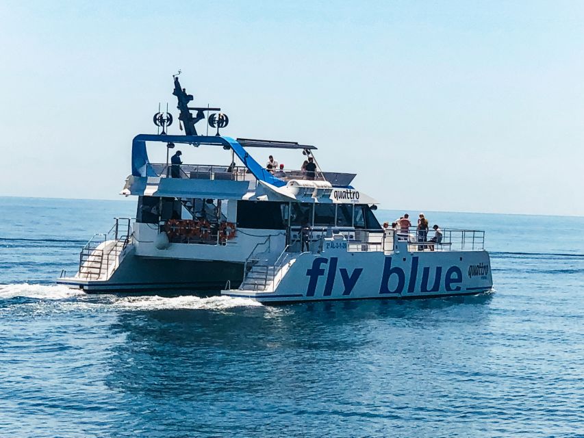 Málaga: Scenic Catamaran Cruise - Practical advice for a smoother trip