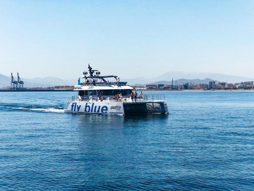 Málaga: Scenic Catamaran Cruise - Music, drinks, and the relaxed mood