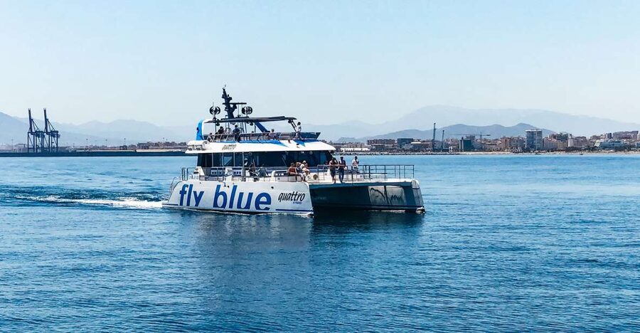 Málaga: Scenic Catamaran Cruise - What you see across Málaga Bay
