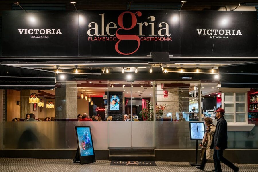 Malaga: Show and Food at Alegría Flamenco and Restaurant - The one-hour performance: guitar, song, and dance