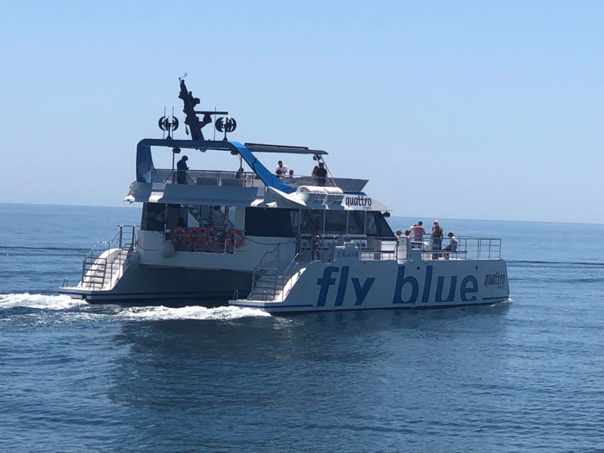 Málaga: Sunset Catamaran Trip - Should You Book the Málaga Catamaran Sunset Trip?