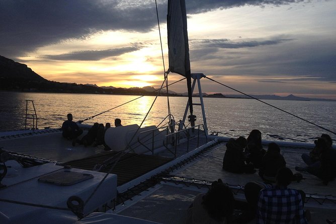 Malaga Sunset Cruise and Restaurant Dinner - Choosing between a quiet cruise and the DJ departure