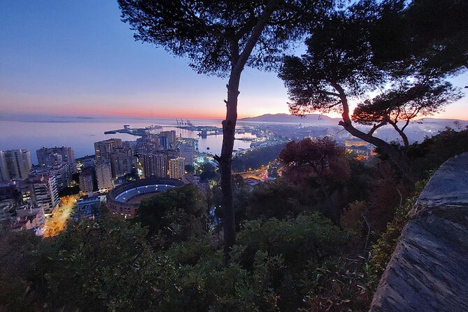 Málaga Sunset & Night Tour by Electric Car - App guidance, human help, and the driving experience