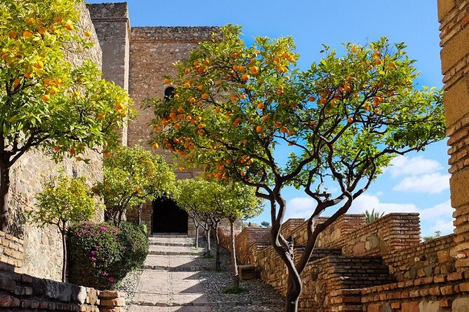 Malaga Super Tour - The hop-on hop-off idea, with one important question