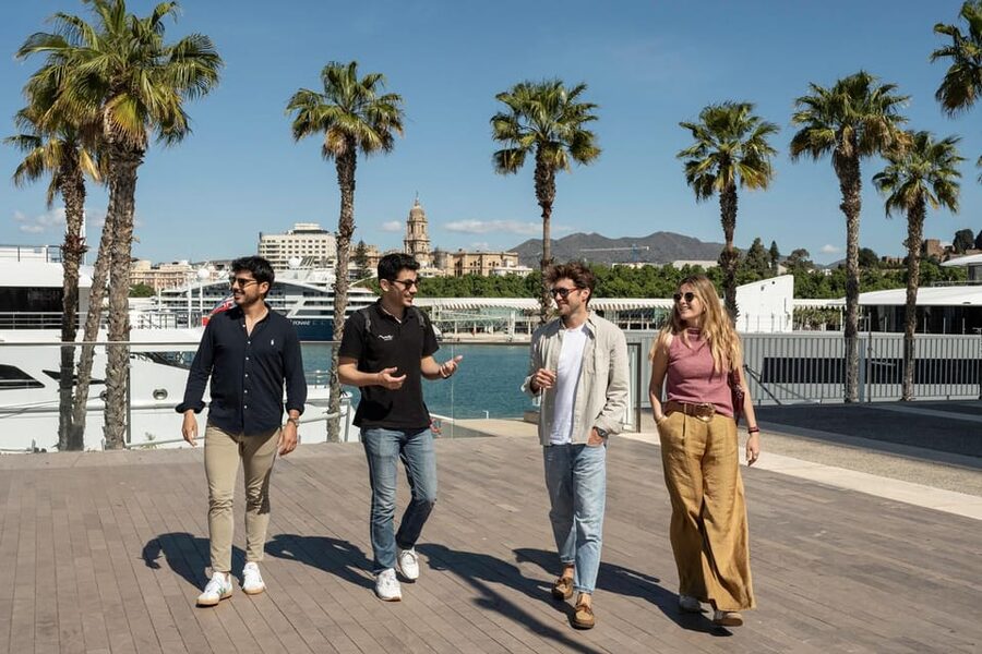Málaga: Tapas, Wine & Rooftops Private Tour - Who should choose this Málaga evening