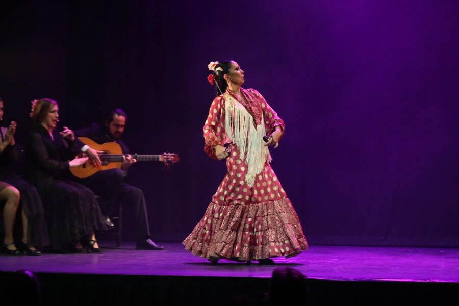 Malaga: Teatro Flamenco Malaga Live Flamenco Show - Key points to know before you book