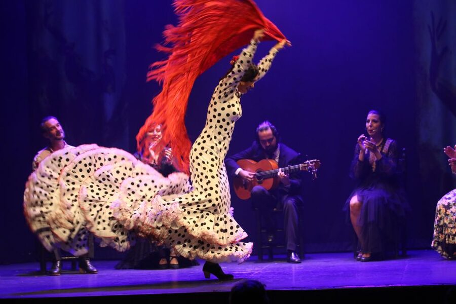 Malaga: Teatro Flamenco Malaga Live Flamenco Show - What the Teatro Flamenco Malaga show is really like