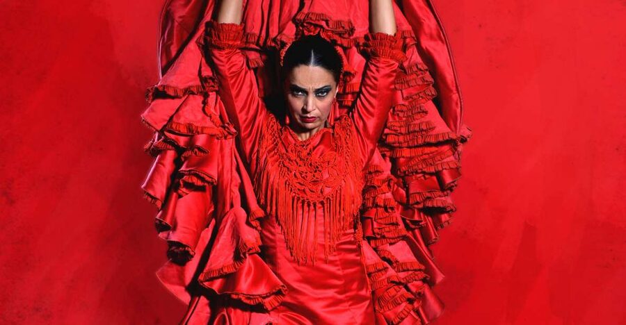 Malaga: Teatro Flamenco Malaga Live Flamenco Show - The dancers, dresses, and footwork