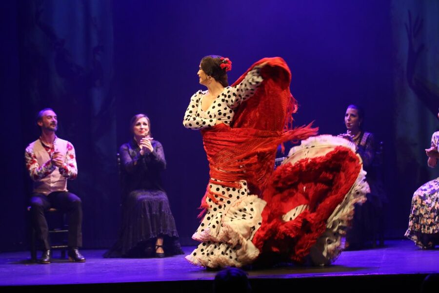 Malaga: Teatro Flamenco Malaga Live Flamenco Show - Is $34 good value?