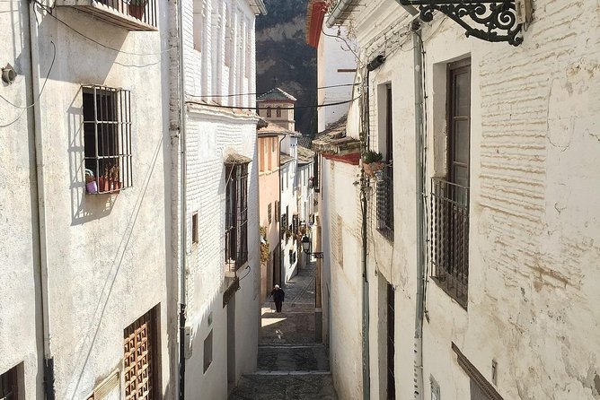 Malaga to Granada trip with Alhambra tickets included - Entering the Alhambra’s Nasrid Palaces