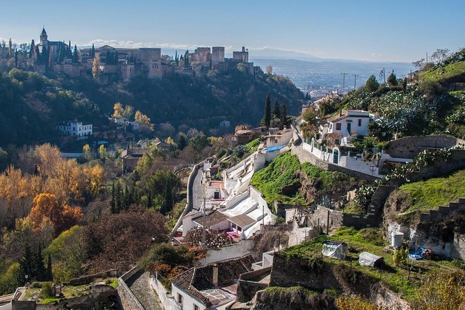 Malaga to Granada trip with Alhambra tickets included - Is $785.41 per person a fair price?