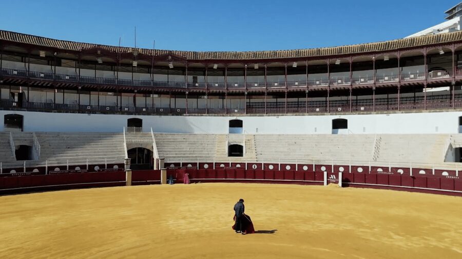 Malaga: Tour of Malagueta Bullring & Immersive Exhibition - Key points to know before you go