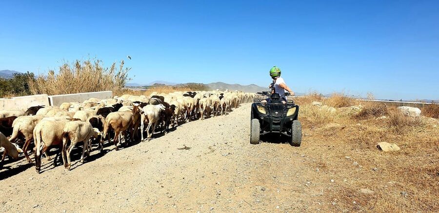 Málaga: Tour Off-Road 1-Hour Solo All-Terrain Quad Adventure - The airport section and low-flying aircraft