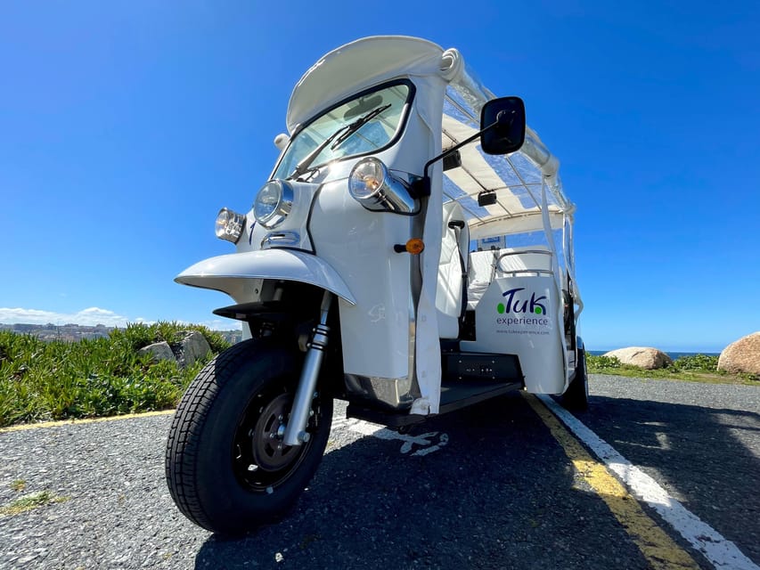 Malaga: VIP private Tuk Tuk tour - City Hall, Calle Larios, and Atarazanas Market