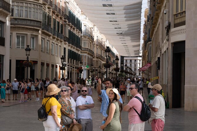 Malaga Walking Tour, Roman Theatre and Alcazaba with Tickets Included - Cathedral views from Plaza del Obispo