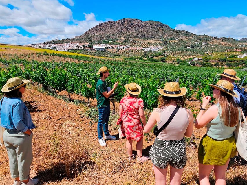Malaga: White Village, Vineyard, and Wine Tasting Wine Tour - Key points to know before booking