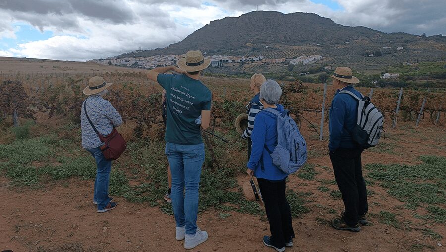 Malaga: White Village, Vineyard, and Wine Tasting Wine Tour - Who should book this Álora outing?