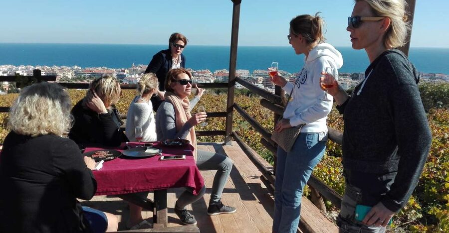 Manilva: Nilva Vineyard, Wine Tasting & Tapas Guided Tour - Key points to know before you book