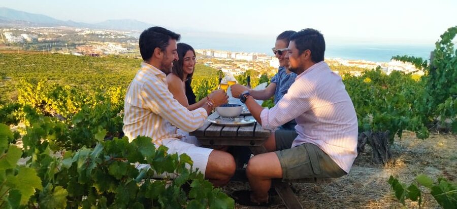 Manilva: Nilva Vineyard, Wine Tasting & Tapas Guided Tour - Why Manilva wine matters