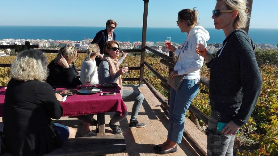 Manilva: Nilva Vineyard, Wine Tasting & Tapas Guided Tour - Seeing Nilva’s small working winery
