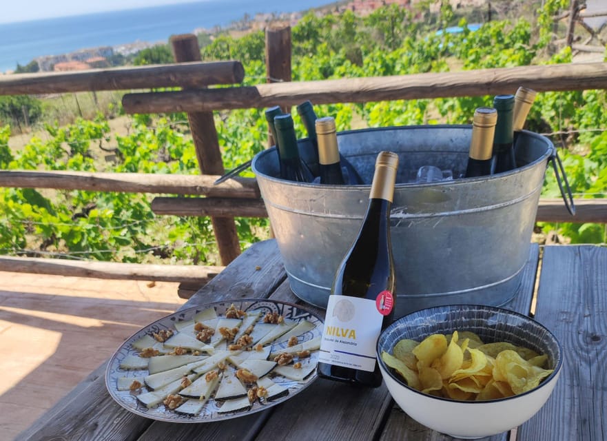Manilva: Nilva Vineyard, Wine Tasting & Tapas Guided Tour - The views are part of the value