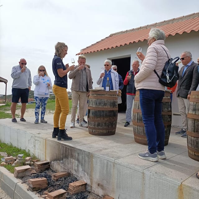 Manilva: Nilva Vineyard, Wine Tasting & Tapas Guided Tour - Who will enjoy this Manilva experience?
