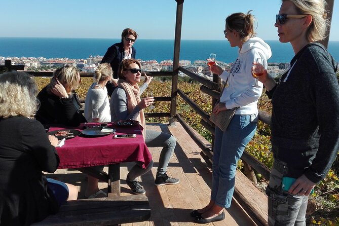 Manilva Oceanfront Wine Experience in the Marbella Area - Key points to know before booking