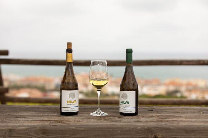 Manilva Oceanfront Wine Experience in the Marbella Area - The Moscatel de Alejandría tasting has range