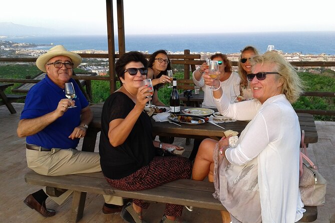 Manilva Oceanfront Wine Experience in the Marbella Area - Nilva Winery keeps the production close and personal