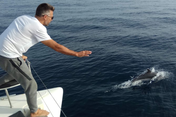 Marbella 3-hour Catamaran Group Excursion with Dolphin Watching - What the $116.11 price means