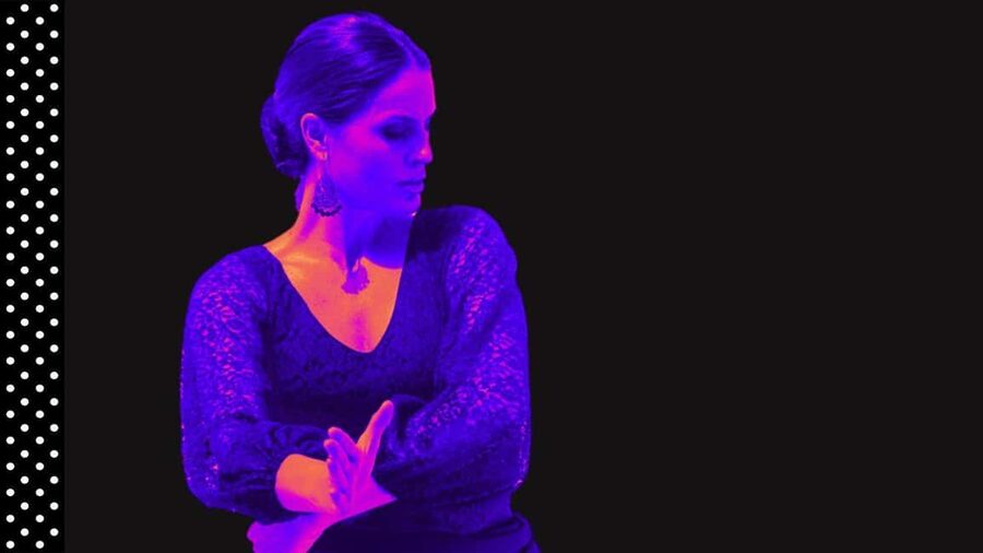 Marbella: Flamenco Dance Private Class To Learn a Choreo - Key points for this one-hour Marbella class