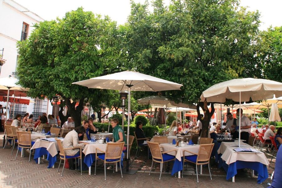 Marbella, Mijas and Puerto Banús Full-Day Sightseeing Tour - Who should book this tour?