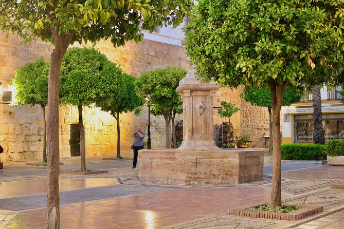 Marbella Old Town: Authentic Tapas Food Tour With Local Guide - Who will enjoy this three-hour walk?